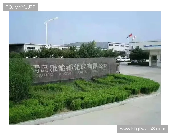 中国凯发集团有限公司官网企业荣誉与合作伙伴关系的全面展示与介绍