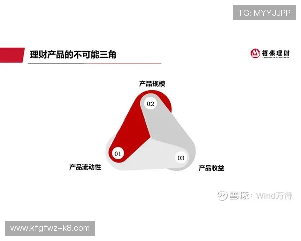 K8视讯公司在全球市场中的布局策略与国际合作发展路径 K8视讯公司在全球市场中的布局策略与国际合作发展路径