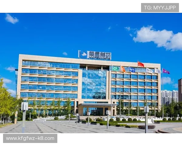 凯发集团会员注册不了的原因分析与详细解决方案指南