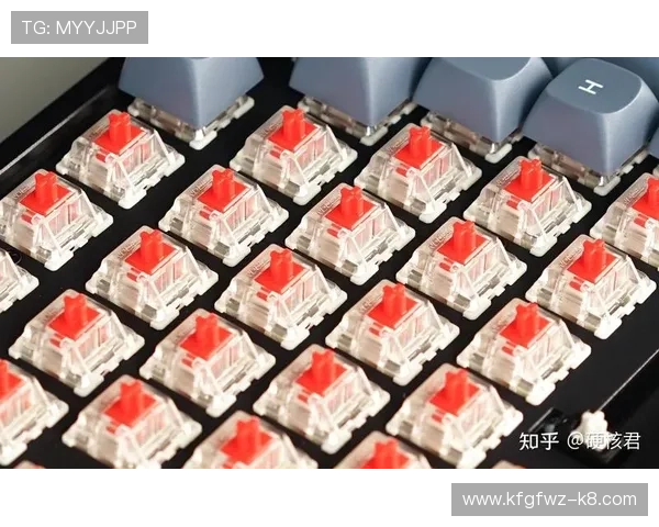 深入了解K8电竞真人平台的安全保障措施与用户隐私保护策略