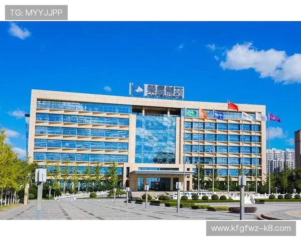 K8.com凯发电竞的客户服务体系：全天候支持与专业问题解决方案